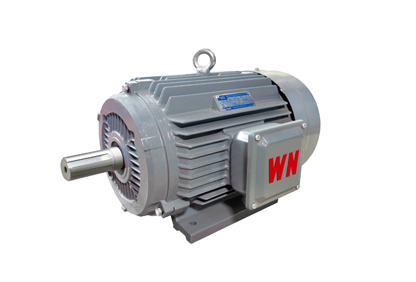 YE3超高效節(jié)能三相異步電動機.jpg